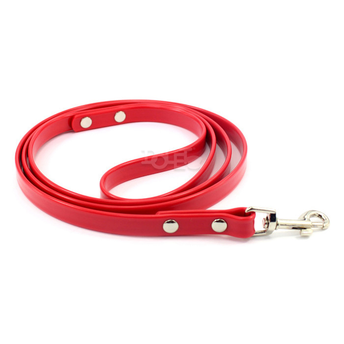 PVC Cat Leashes & Collars